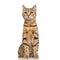 Cute tabby british fold cat sitting and looking to side