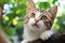 Cute tabby cat with green eyes sitting on tree in garden, Cute cat with green eyes lying on the bed and looking up, AI Generated