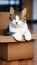 Cute tabby cat is sitting in a cardboard box and looking.