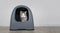 Cute tabby cat sitting in a closed litter box and look to the camera.