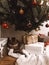 Cute tabby cat sitting with gifts under Christmas tree. Pet and holiday. Merry Christmas