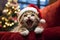 Cute tabby cat wearing santa hat meowing with Christmas tree on background, Christmas and pet concept. Generative AI