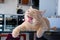 Cute tabby cat yawning on the table