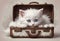 Cute Tabby Kitten with striking blue eyes stares out from an old, leather suitcase, conveying a sense of adventure and curiosity