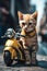 cute tabby motorcycle rider kitten next to his motorcycle