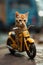 cute tabby motorcycle rider kitten next to his motorcycle