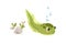 Cute tadpole swimming. Little larval froggy floating. Baby frog, small amphibian, adorable animal. Funny happy smiling