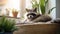 Cute tame raccoon resting in a pet bed