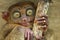 Cute tarsier close up