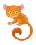 Cute tarsier monkey cartoon vector illustration