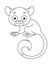 Cute tarsier monkey coloring page cartoon vector illustration