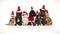 Cute team of seven santa pets of different breeds sitting