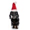 Cute Teckel weaing santa claus hat sitting