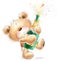 Cute Teddy Bear with the bottle of close -up champagne.Party invitation.Happy Birthday greeting card.