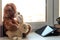 Cute Teddy Bear and bunny looking in tablet computer or  touch pad at home on window