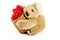 Cute teddy bear carrying bamboo basket full of red roses and heart