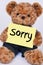 Cute Teddy bear holding a yellow sign that says Sorry