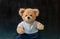 Cute teddy bear  school black chalkboard background