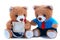 Cute teddy bears with card