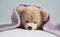 Cute teddy laying on bed mattress covered with a towel