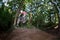 Cute teen jumping with his bike over a natural ramp in the fores