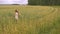 Cute teenage girl with long hair runs on a field with wheat