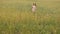 Cute teenage girl with long hair runs on a field with wheat