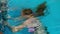 Cute teenager girl swimming underwater in the pool, slow motion video