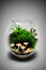 Cute Terrarium with a Little Mushroom Created with Generative AI Technology