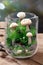 Cute Terrarium with a Little Mushroom Created with Generative AI Technology