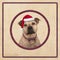 Cute terrier dog in circle with red plaid pattern, on old vintage paper background,