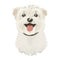 Cute terrier puppy, cheerful mascot