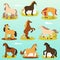 Cute thoroughbred pony horses in various poses a vector illustrations.