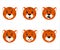 Cute tiger faces vector illustration