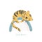 Cute tiger sleeps on rainbow. Scandinavian style. Vector illustration. Baby animal concept for nursery, design