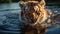 A cute tiger stares, reflecting its beauty in nature generated by AI