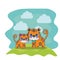 cute tigers couple characters vector illustration