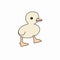 Cute tiny duckling cartoon illustration .