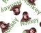 Cute tiny monkey and textile printing variants, gift paper printing patterns, animal picture and writings, pattern, fabric pattern