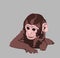 Cute tiny monkey and textile printing variants, gift paper printing patterns, animal picture and writings, pattern, fabric pattern