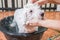 Cute tiny poodle puppy dog taking shower on bath basin.