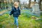 Cute toddler boy admiring blue scilla siberica spring flowers blossoming in Bernardine cemetery, one of the three oldest