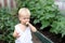 Cute toddler boy eating cucumber in a greenhouse. Cucumber bed on a background. Eco farming and healthy eating concept