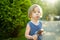 Cute toddler boy eating tasty fresh ice cream outdoors on warm sunny summer day. Children eating sweets