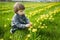 Cute toddler boy having fun between rows of beautiful yellow daffodils blossoming on spring day