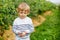 Cute toddler boy helping to pick blueberries