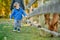 Cute toddler boy looking at an alpaca at a farm zoo on autumn day. Children feeding a llama on an animal farm. Kids at a petting