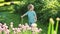 Cute toddler boy watering flower beds using a hose in the garden at summer day