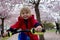 Cute toddler child, boy riding bike in pink blooming sacura garden