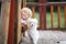 Cute toddler child with white maltese puppy, playing in the park, walking